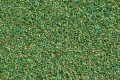 60623 Auhagen Scatter material meadow dark green